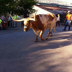 Meet your Posher, Kevin